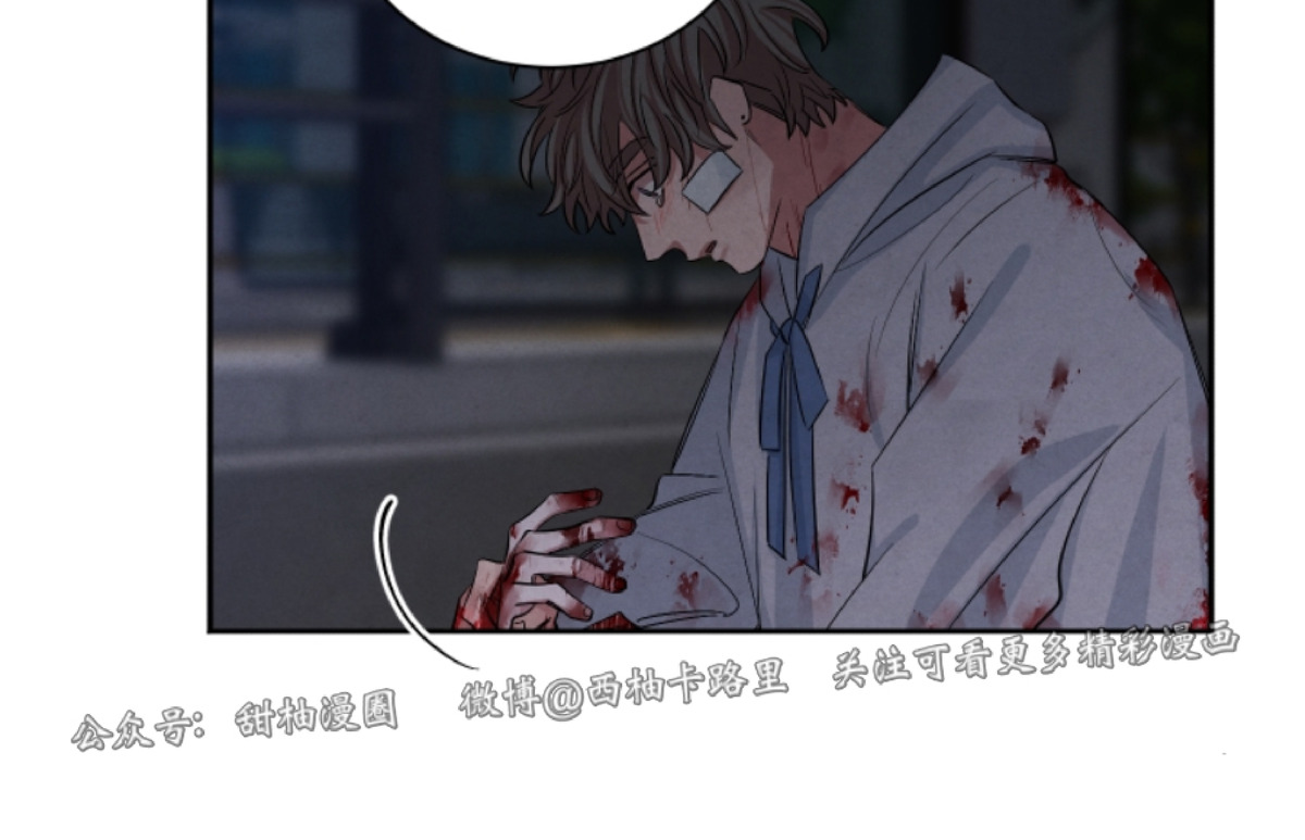 珊瑚绽放过程漫画,第49话end3图