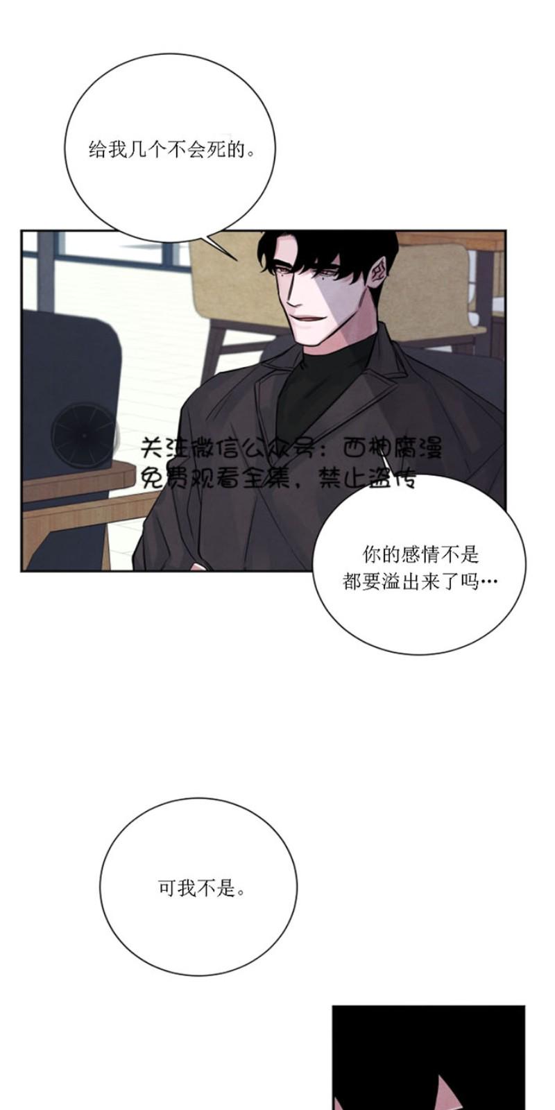 珊瑚舒展的秘密漫画,第3话4图