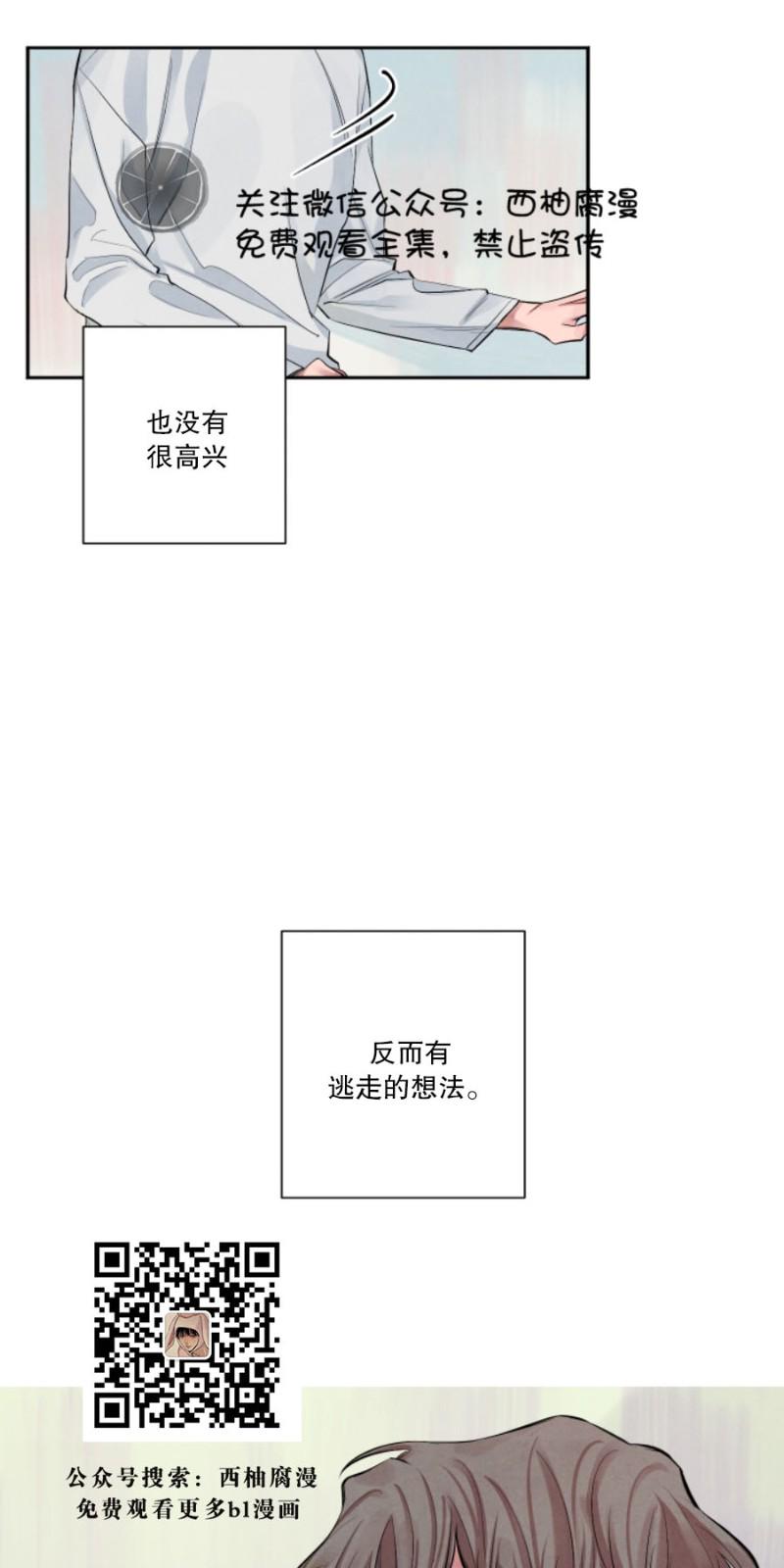 珊瑚舒展的秘密漫画大结局漫画,第1话2图