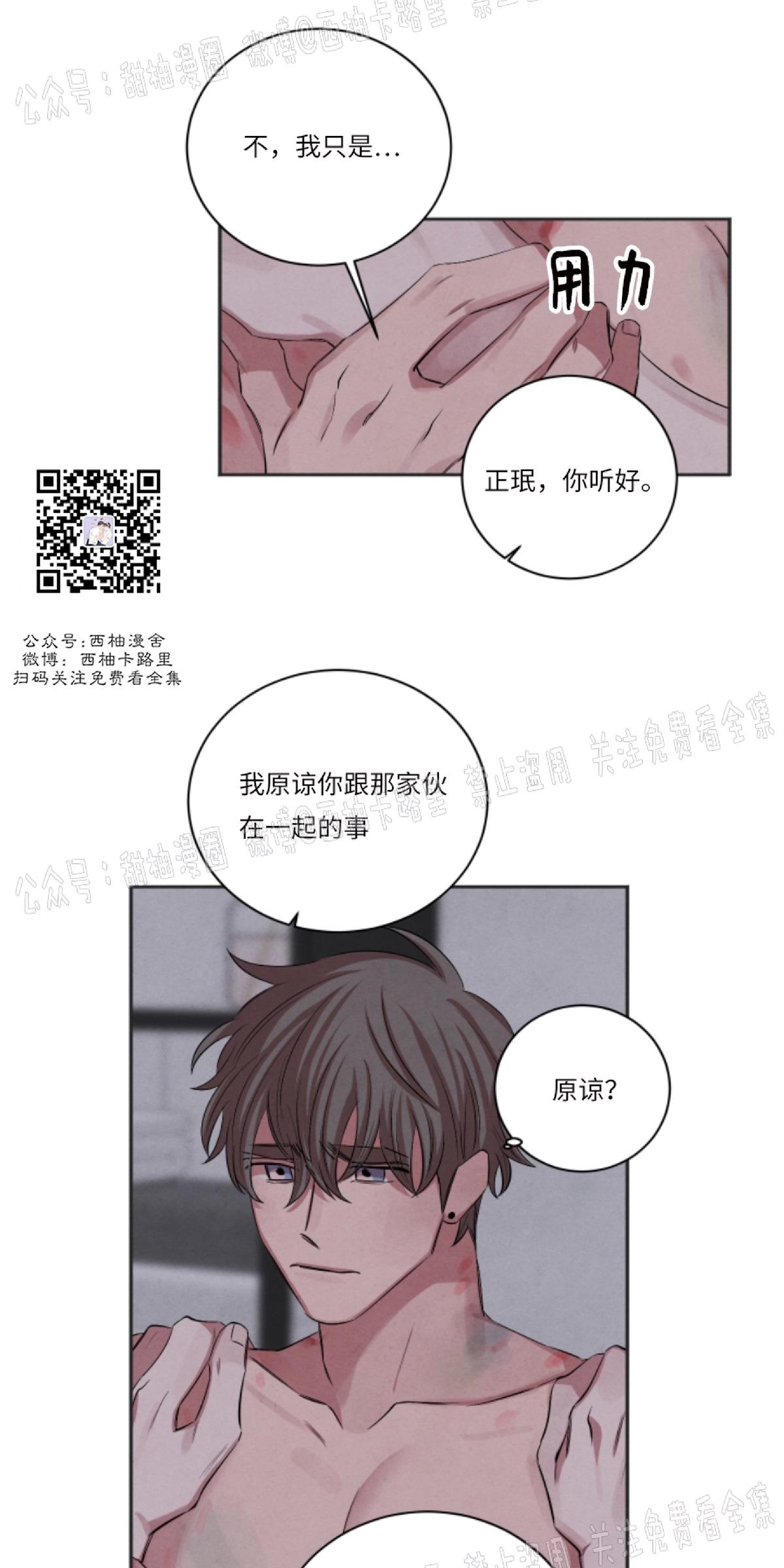 珊瑚绽放过程漫画,第41话4图
