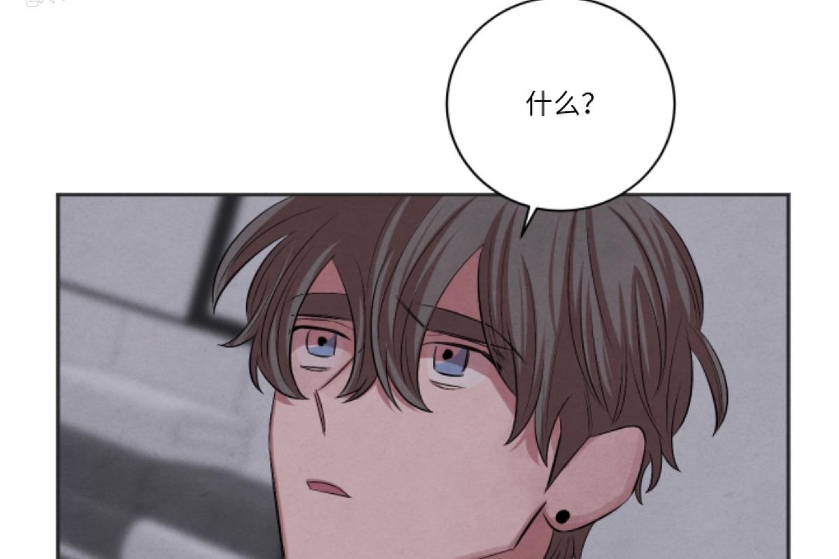珊瑚绽放过程漫画,第41话2图