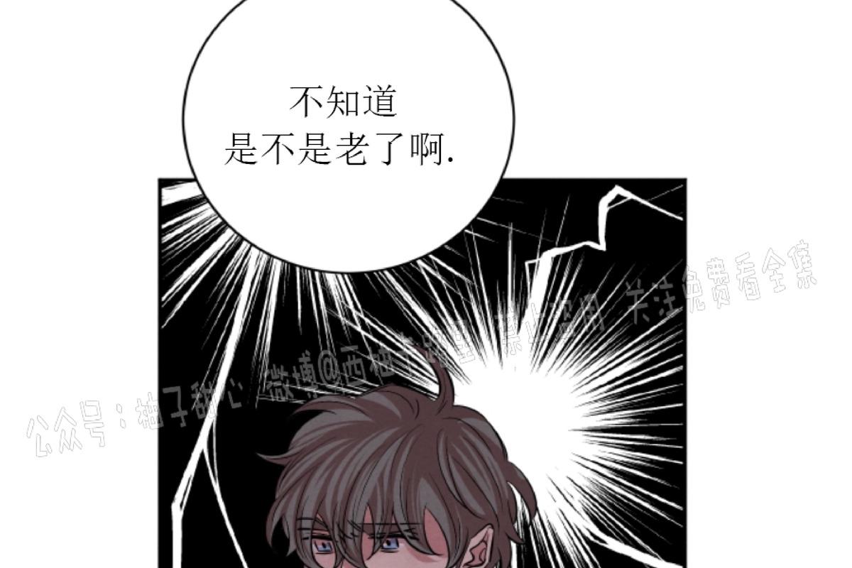 珊瑚的奇妙之处漫画,第31话5图