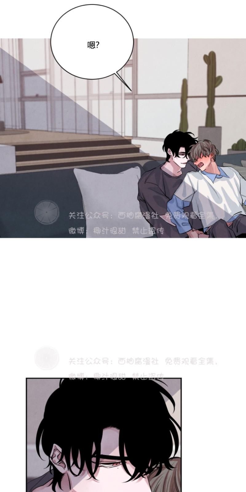珊瑚的各种姿态漫画,第14话4图