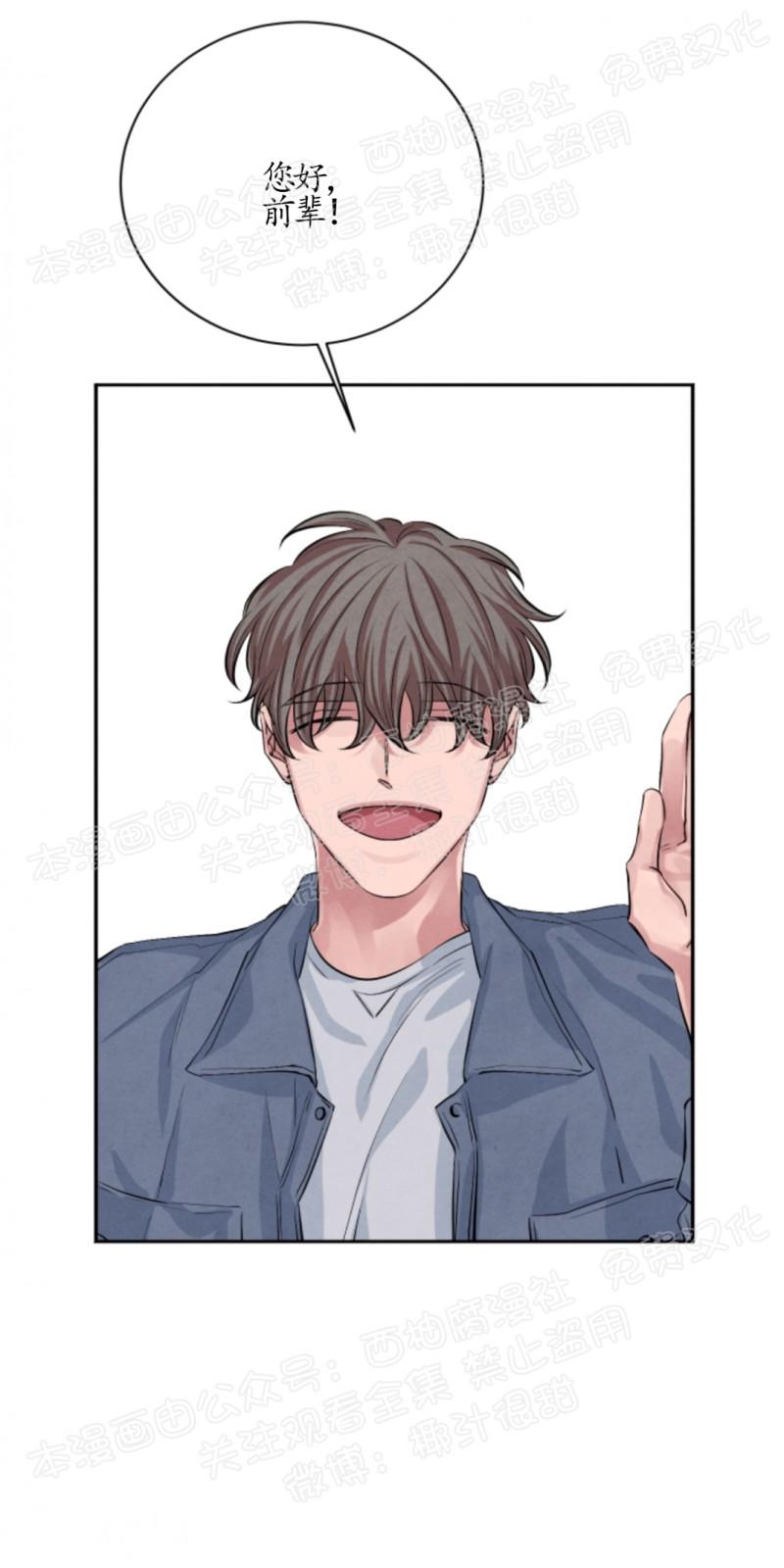 珊瑚舒展的秘密漫画大结局漫画,第17话4图