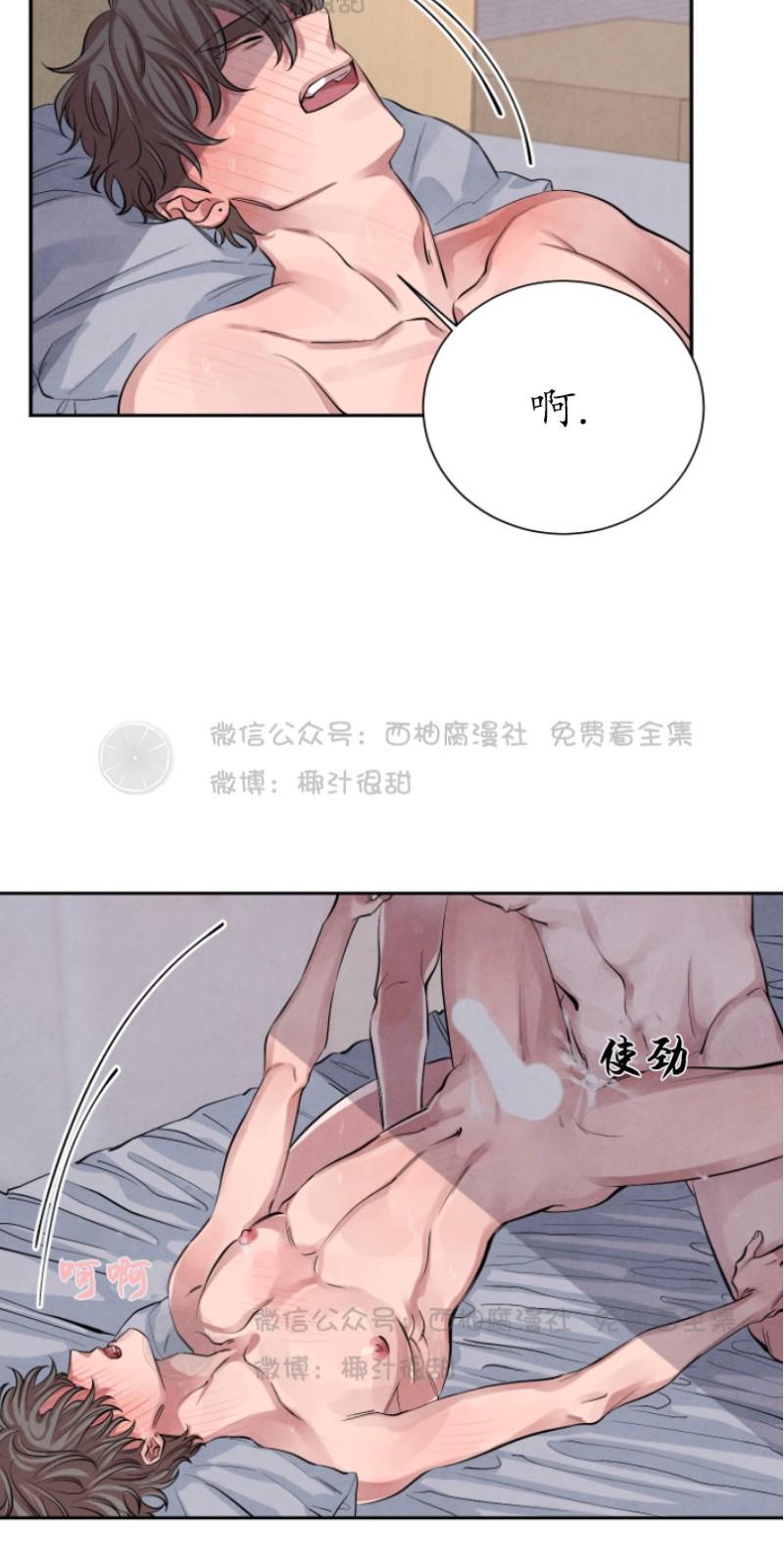 珊瑚的奇妙之处漫画,第12话5图