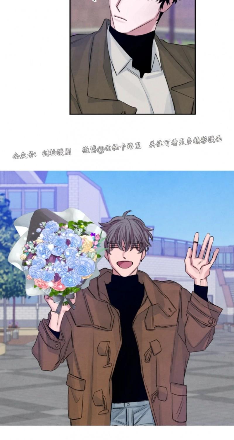 写出珊瑚的不同姿态漫画,外传15图