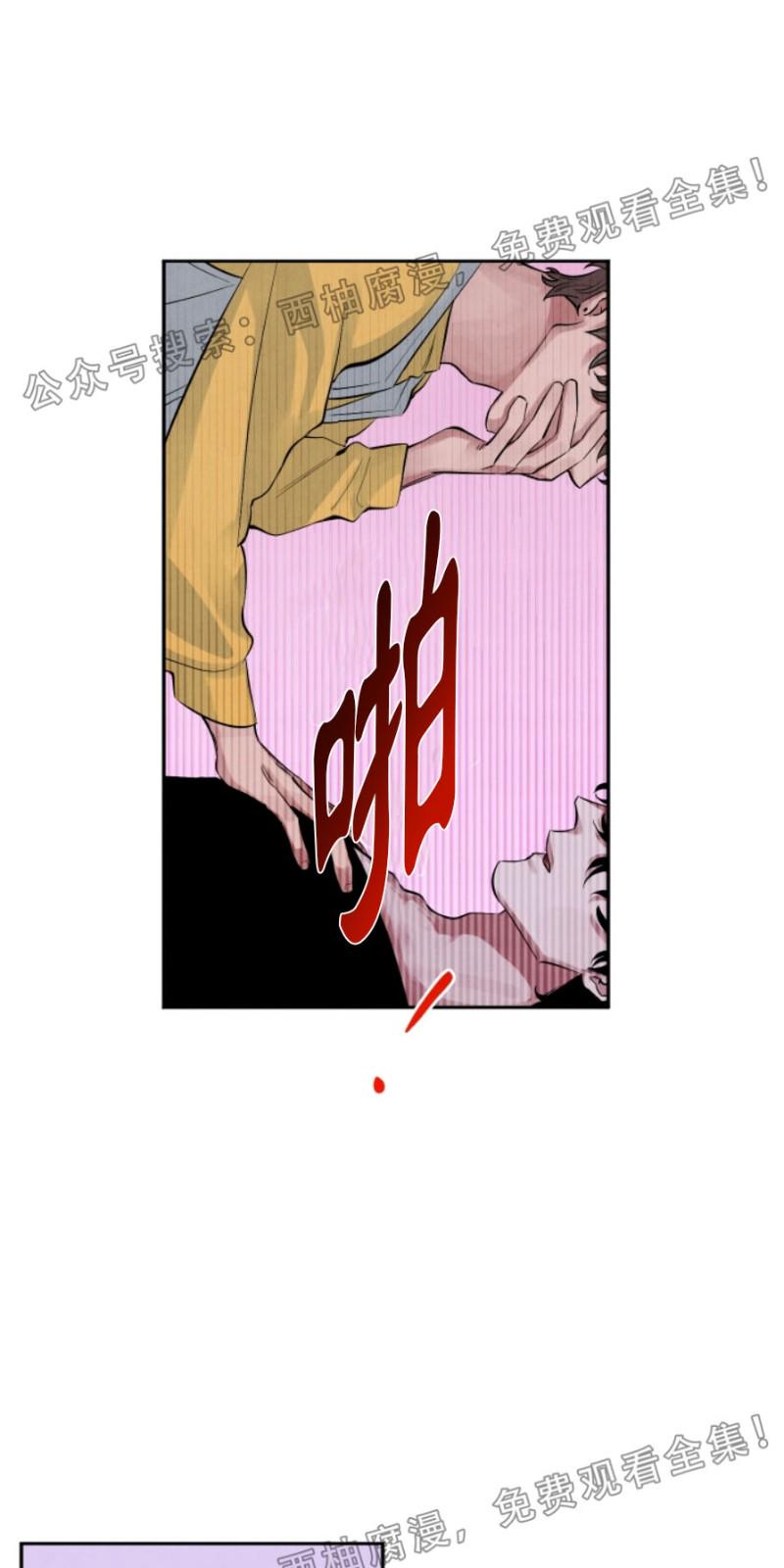 珊瑚的美体现在哪漫画,第9话4图