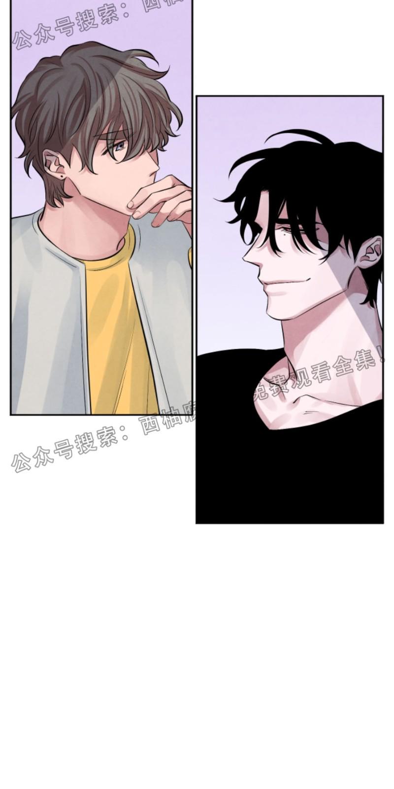珊瑚的美体现在哪漫画,第9话5图