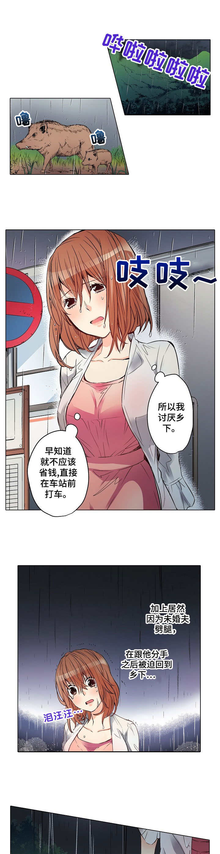 第1章：雨夜来客0