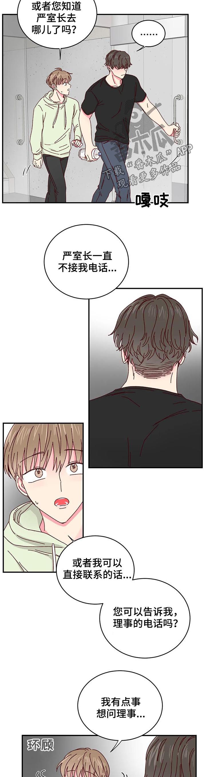 奶油蛋糕放冰箱可以保存几天漫画,第29章：喂猫5图