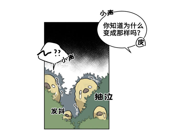 第20章：陌生的毒花2