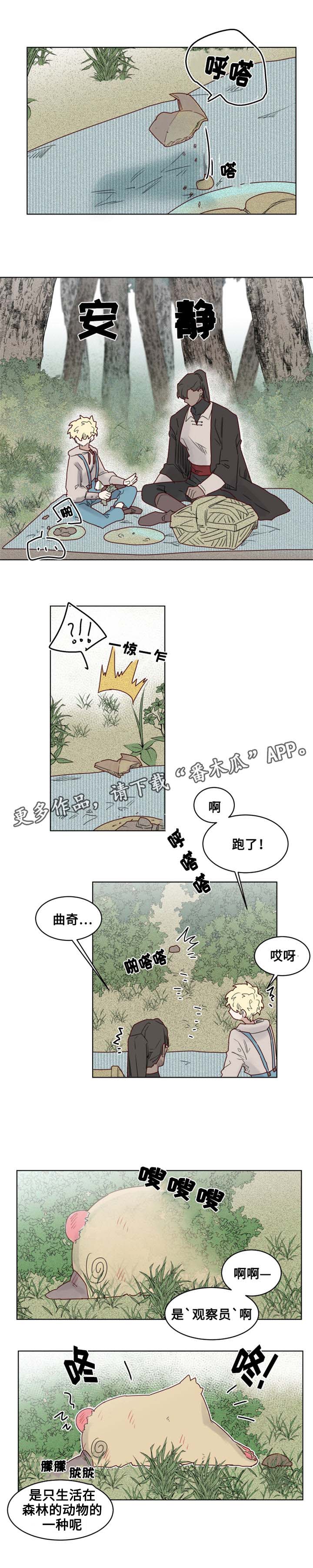 第19章：观察者2