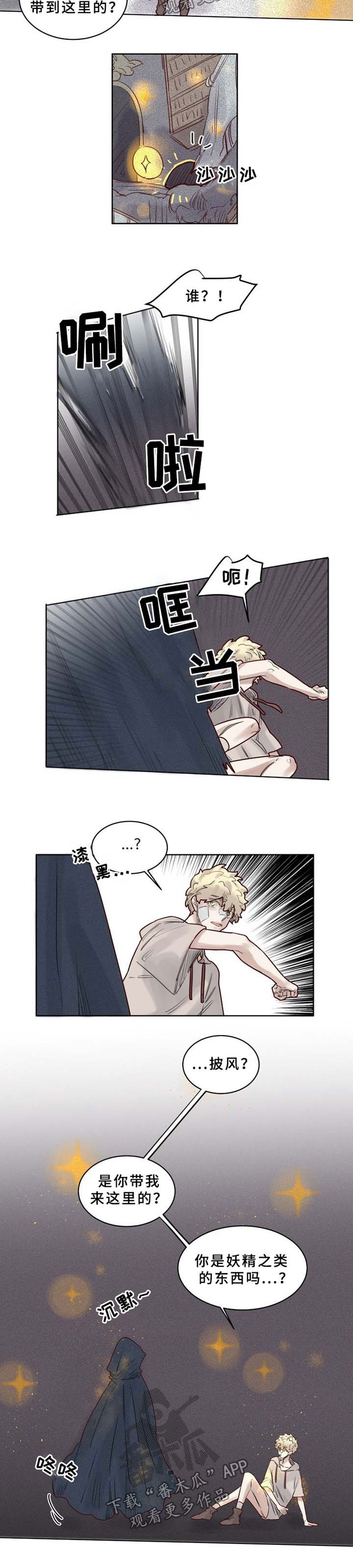 魔法师皮塔在线阅读漫画,第39章：大魔法师的秘密2图