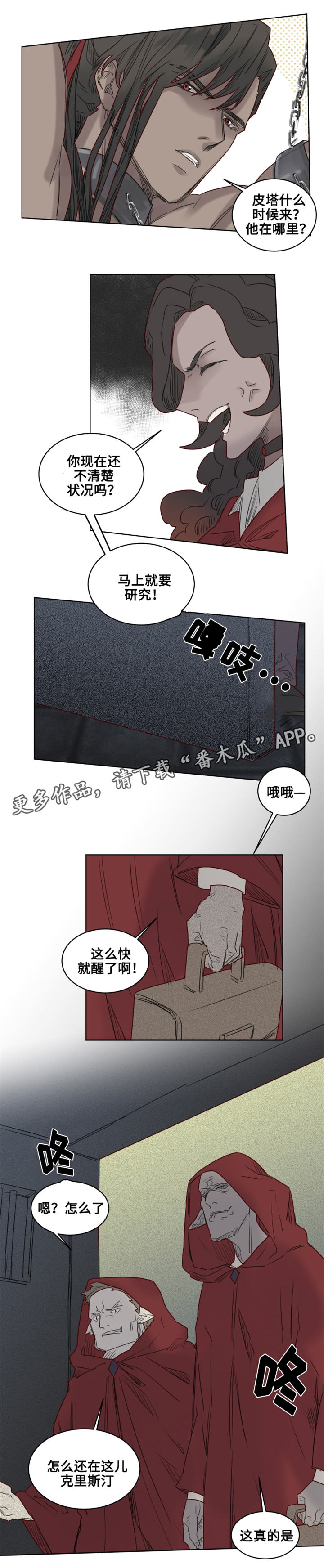 第25章：‘红色塔’组织0
