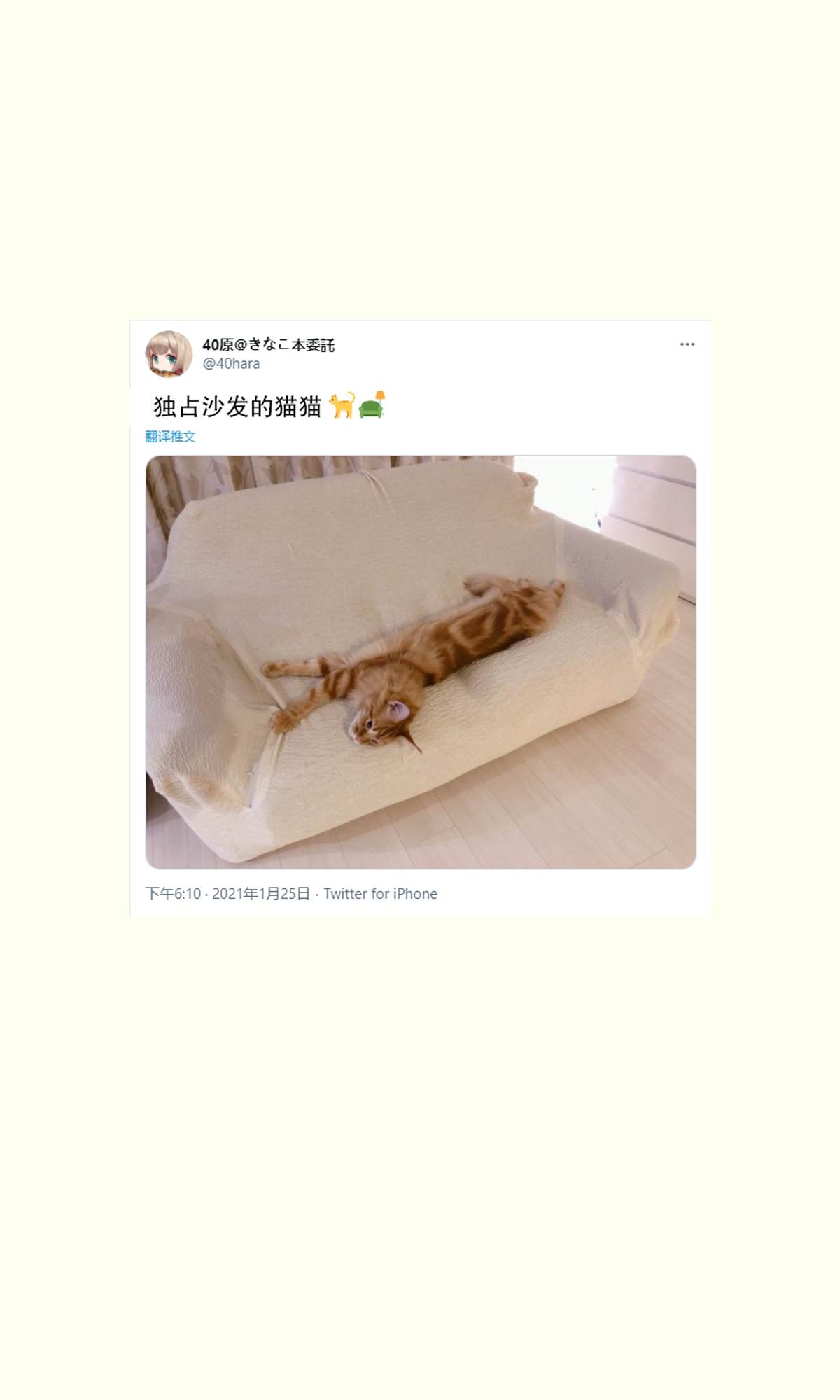 我家的猫猫是可爱的女孩子！漫画,杂图95图
