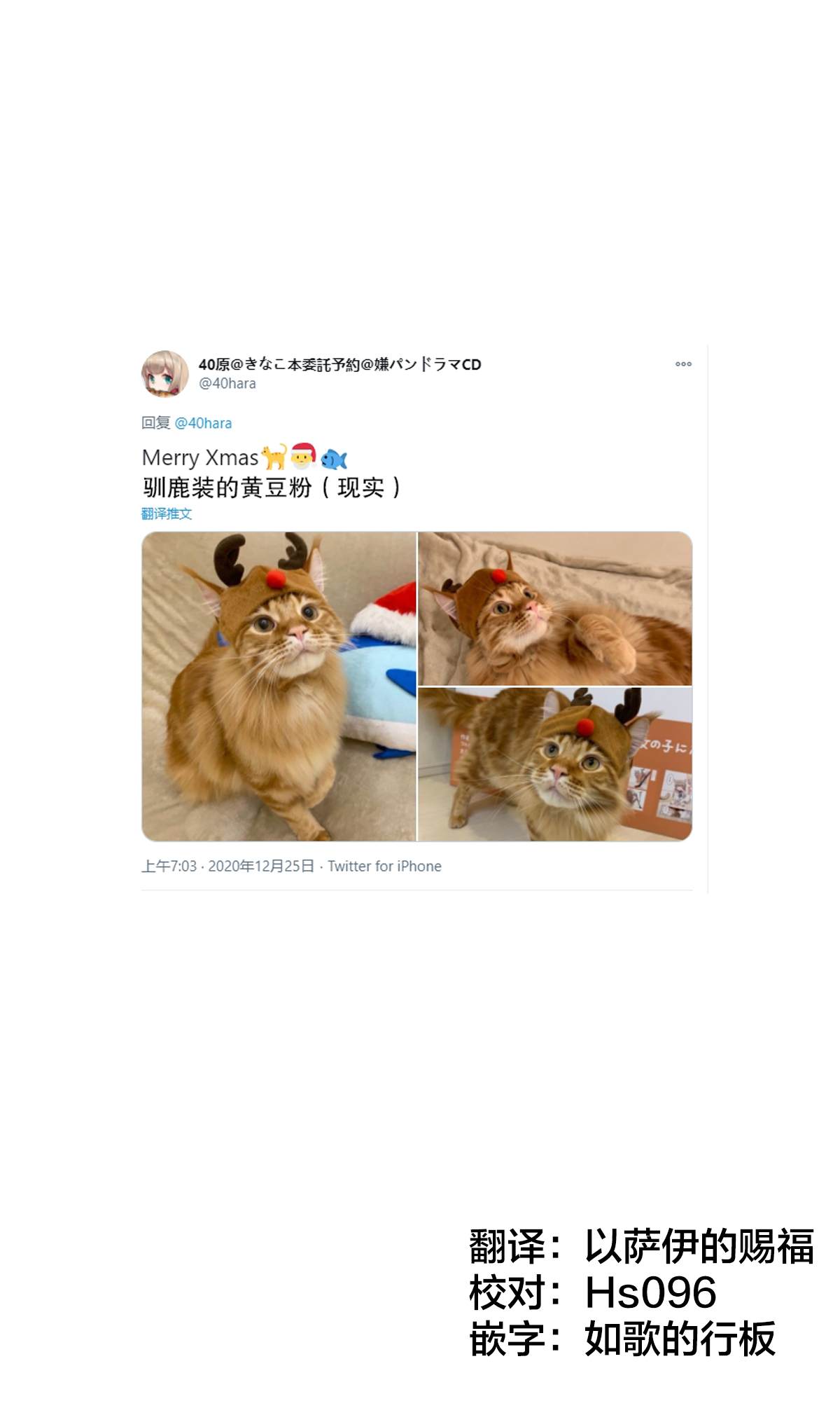 我家的猫猫是可爱的女孩子！漫画,杂图71图