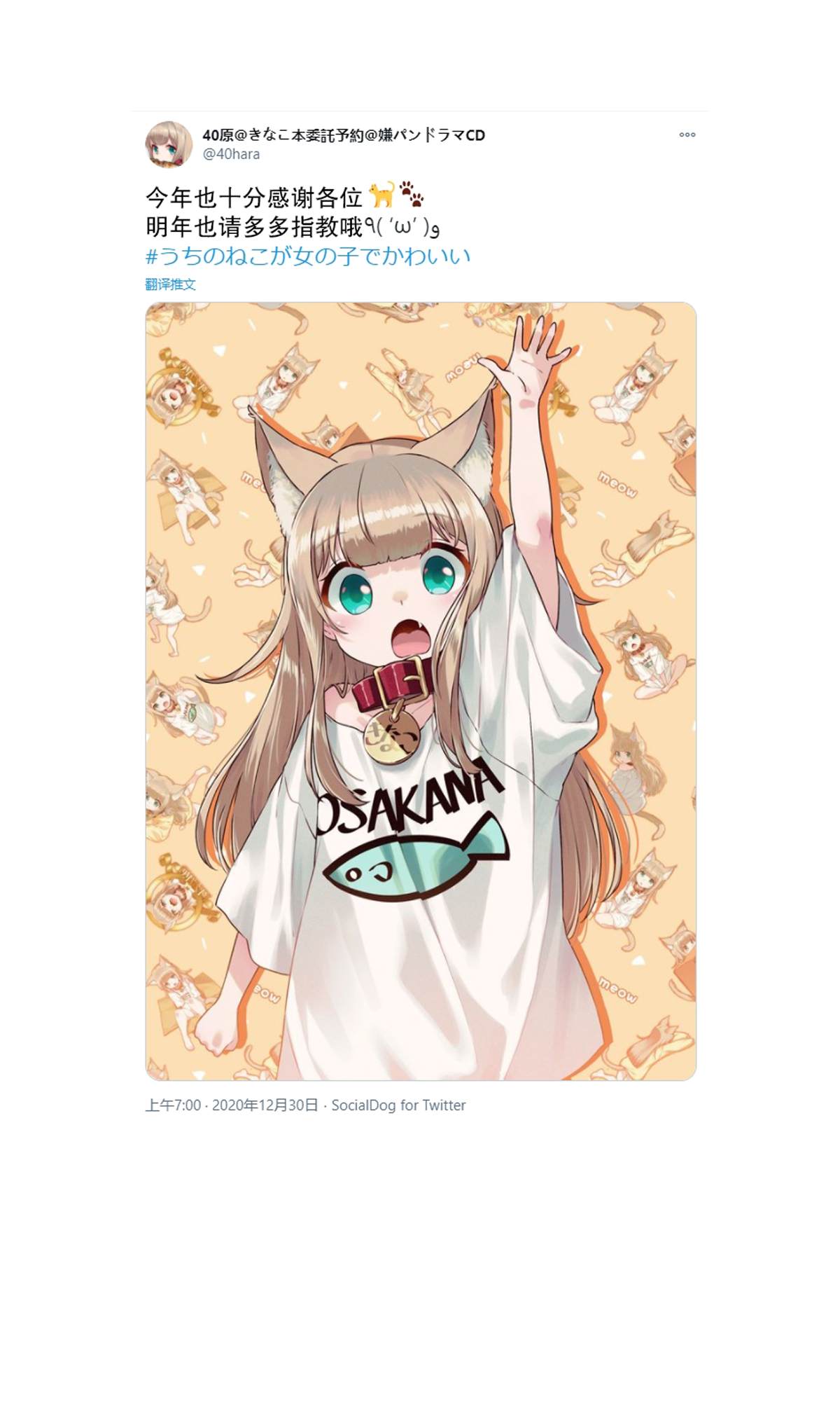 我家的猫猫是可爱的女孩子！漫画,杂图75图