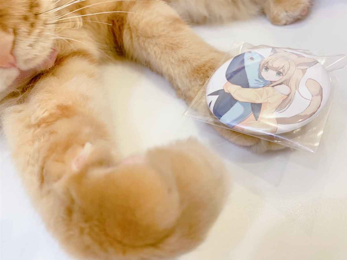 我家的猫猫是可爱的女孩子！漫画,杂图123图