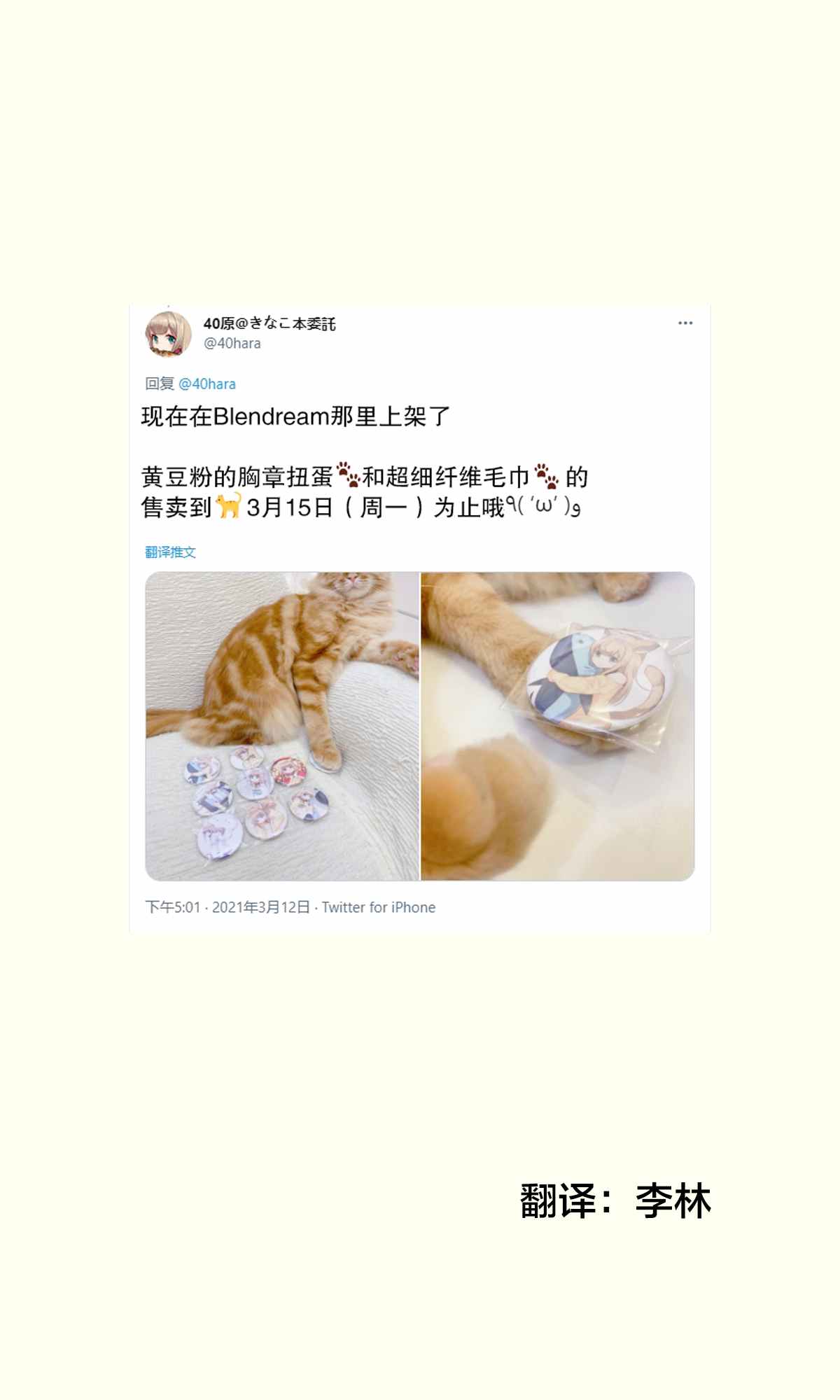 我家的猫猫是可爱的女孩子！漫画,杂图121图