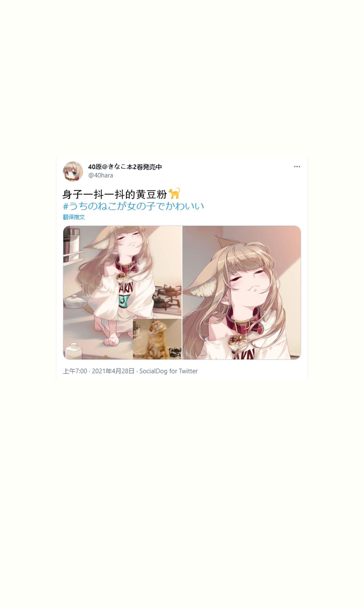 我家的猫猫是可爱的女孩子！漫画,杂图135图