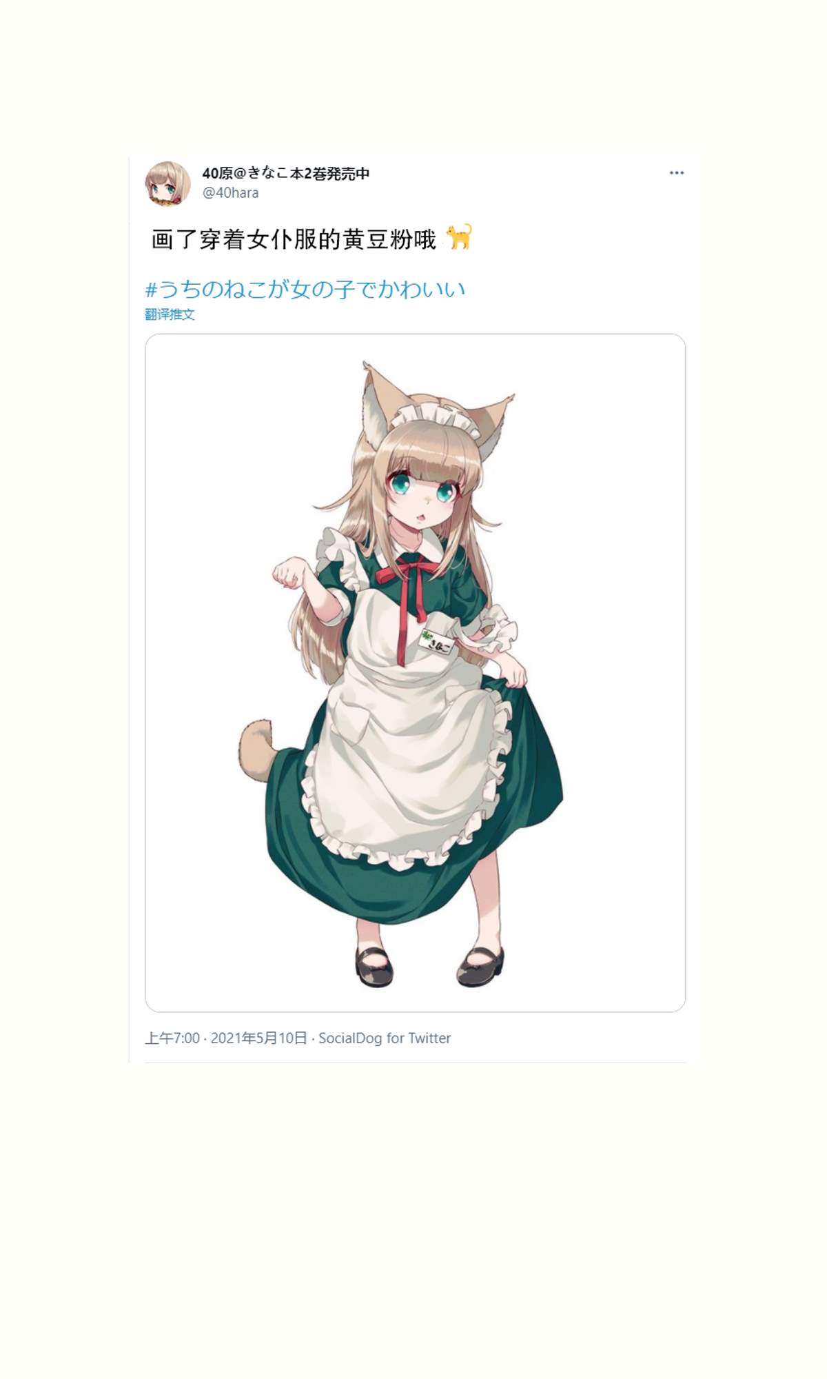 我家的猫猫是可爱的女孩子！漫画,杂图131图