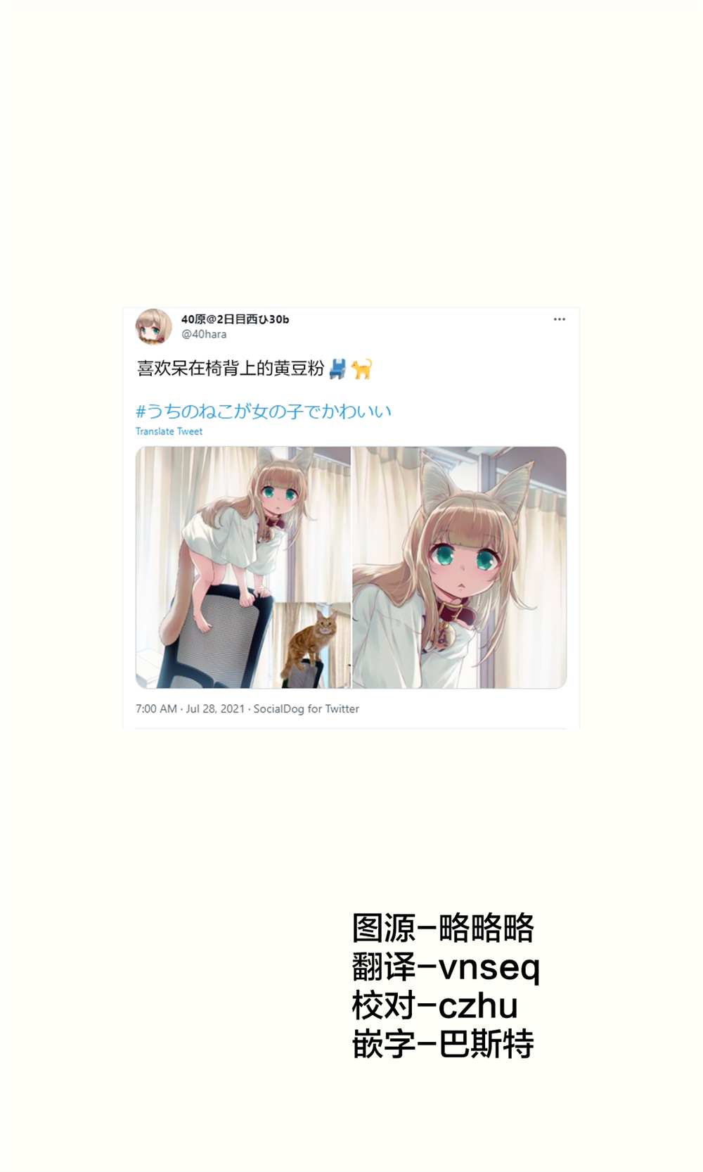 我家的猫猫是可爱的女孩子！漫画,杂图151图