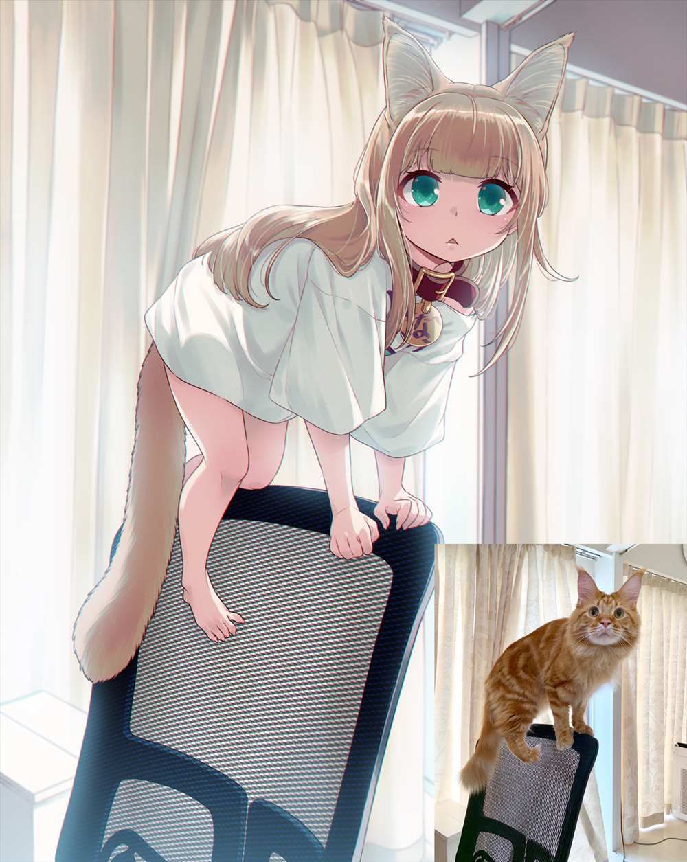 我家的猫猫是可爱的女孩子！漫画,杂图152图
