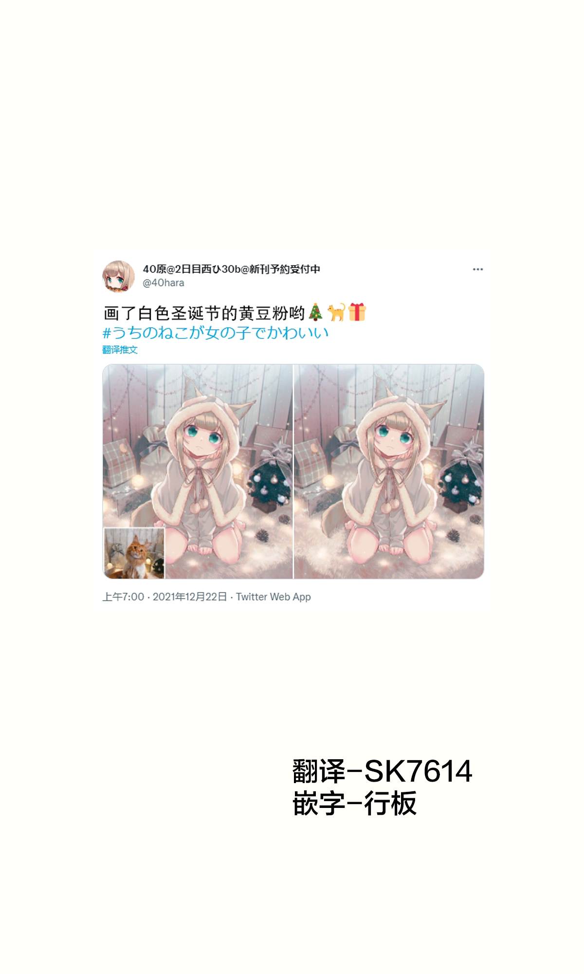 我家的猫猫是可爱的女孩子！漫画,杂图173图