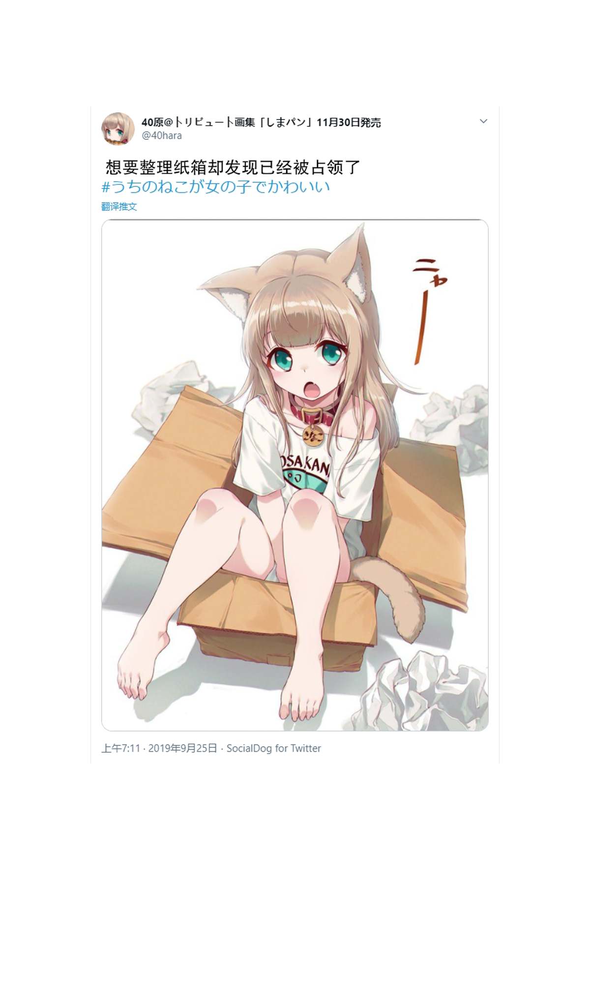 我家的猫猫是可爱的女孩子！漫画,杂图22图