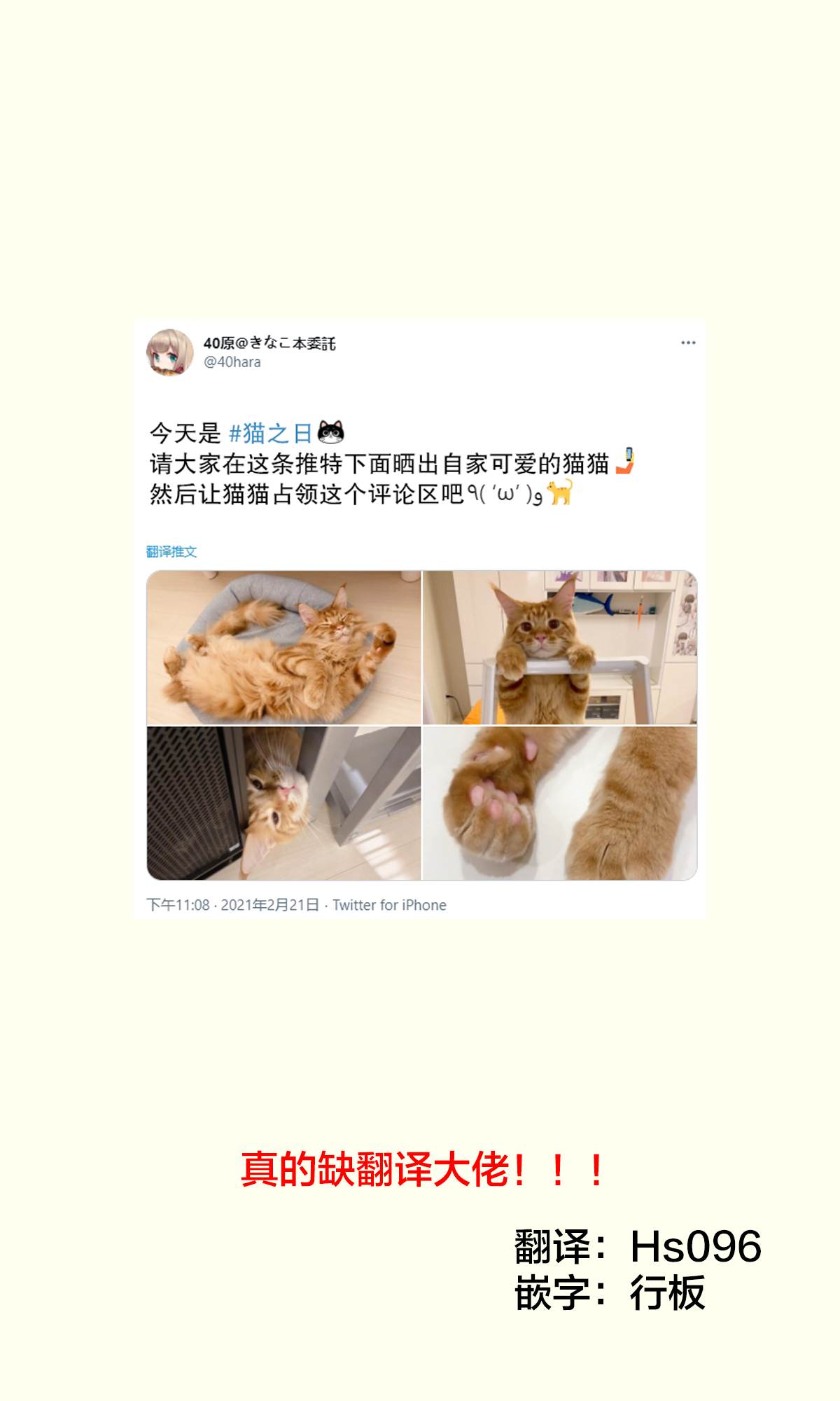 我家的猫猫是可爱的女孩子！漫画,杂图101图