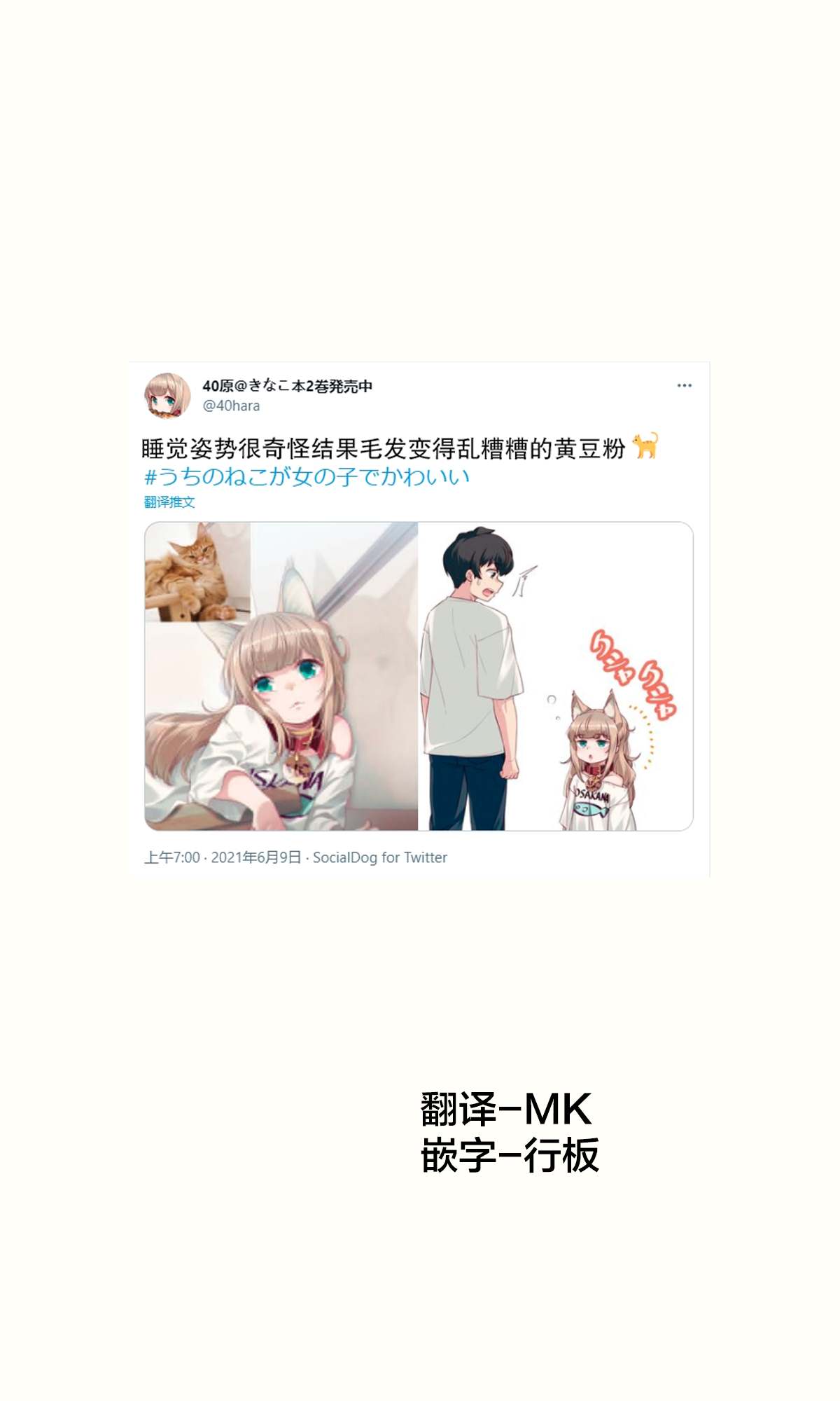 我家的猫猫是可爱的女孩子！漫画,杂图141图
