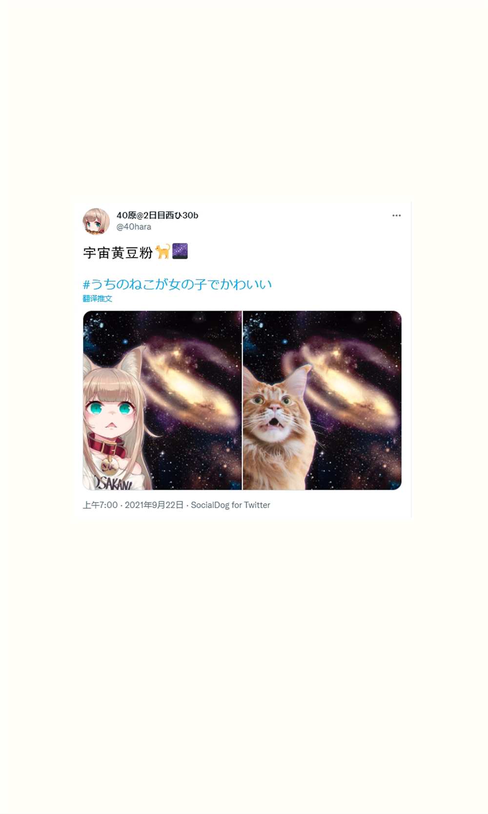 我家的猫猫是可爱的女孩子！漫画,杂图163图