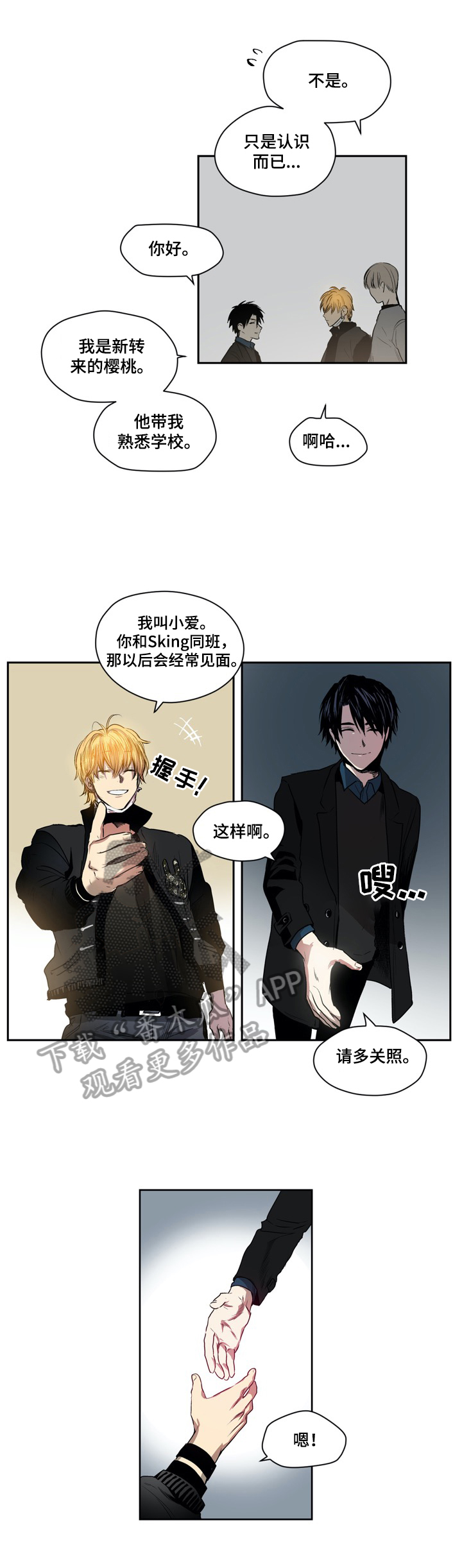 第36章：新人0