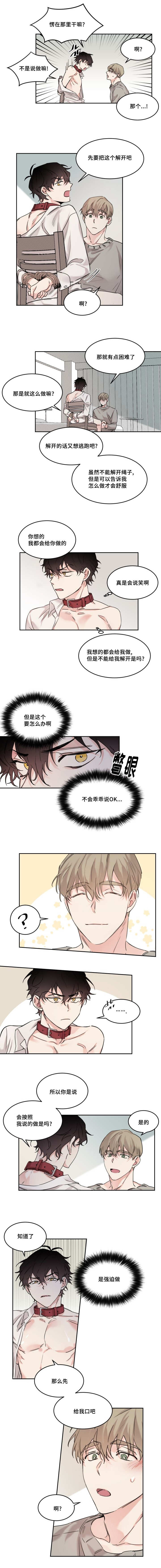 第11章：给我3