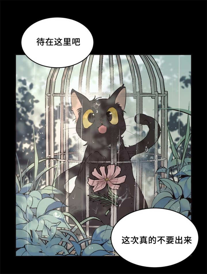 第25章：新的猫咪4