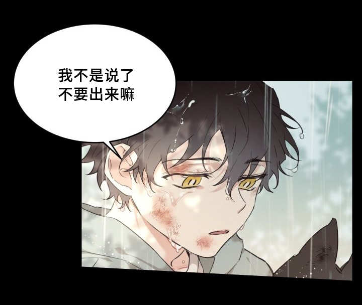 第25章：新的猫咪1