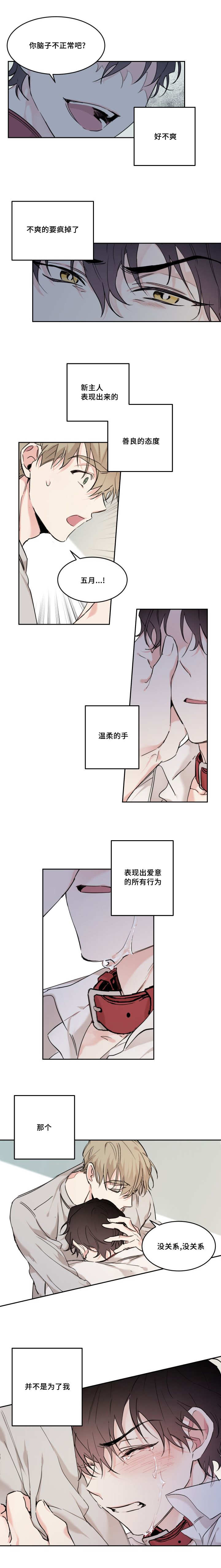 第18章：我就是五月2
