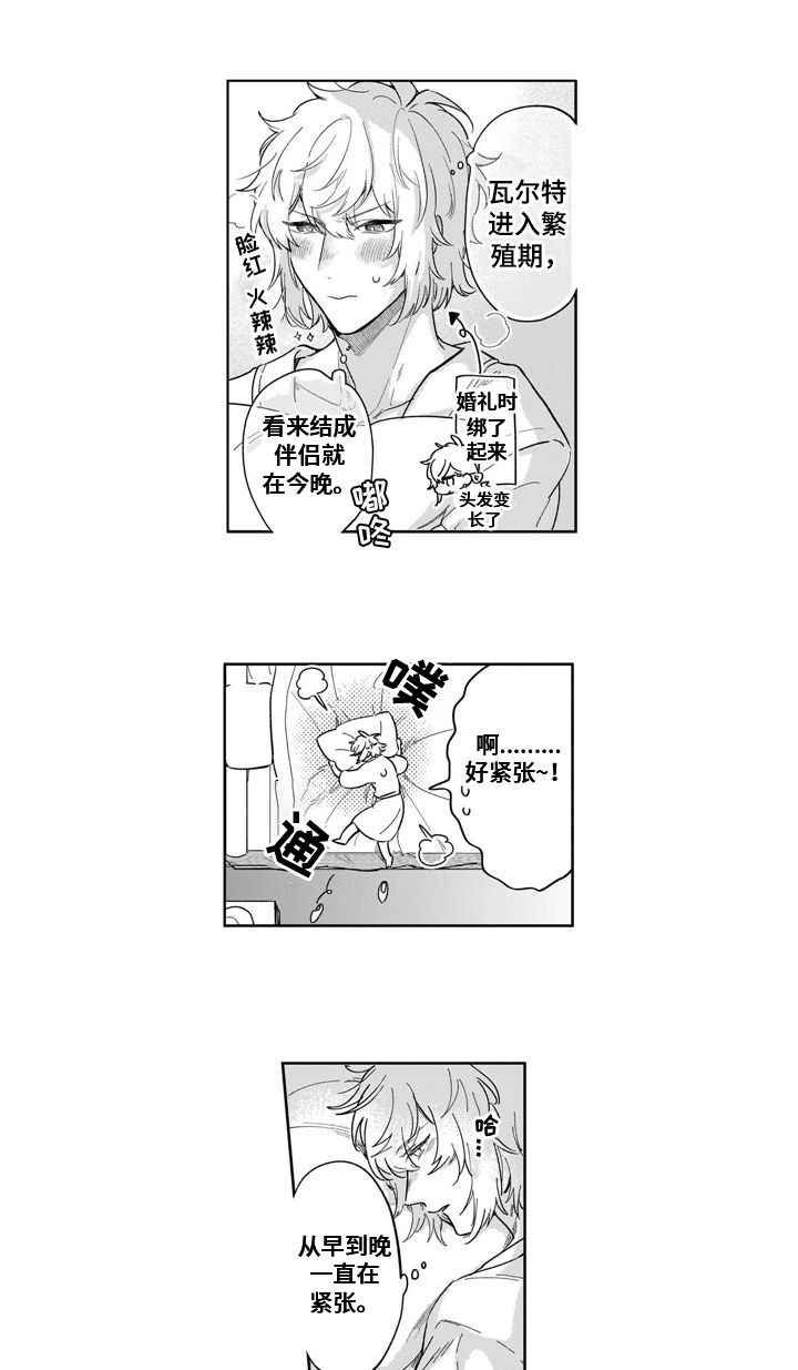 第19章：着急0