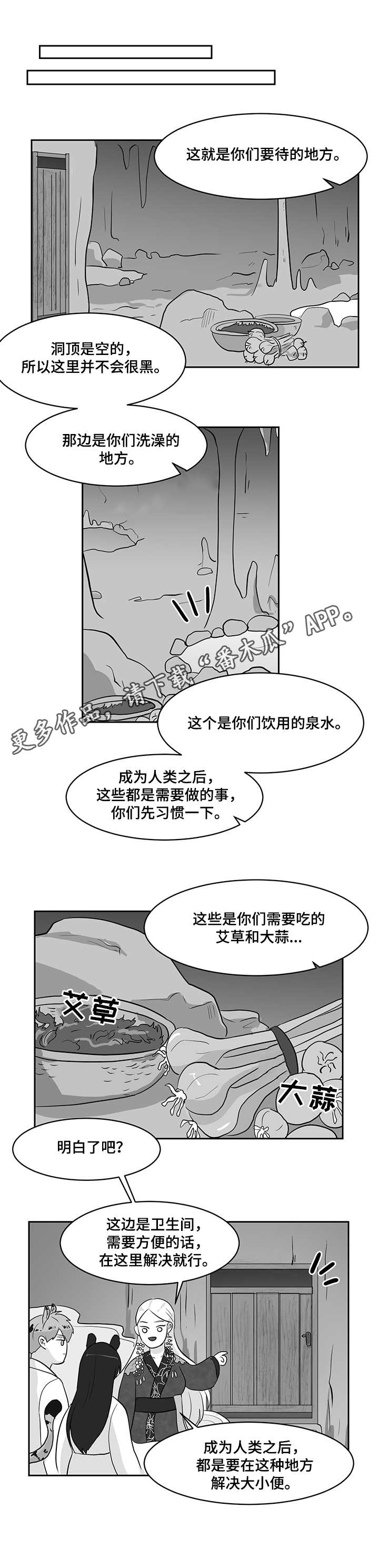 第22章：熊与虎0