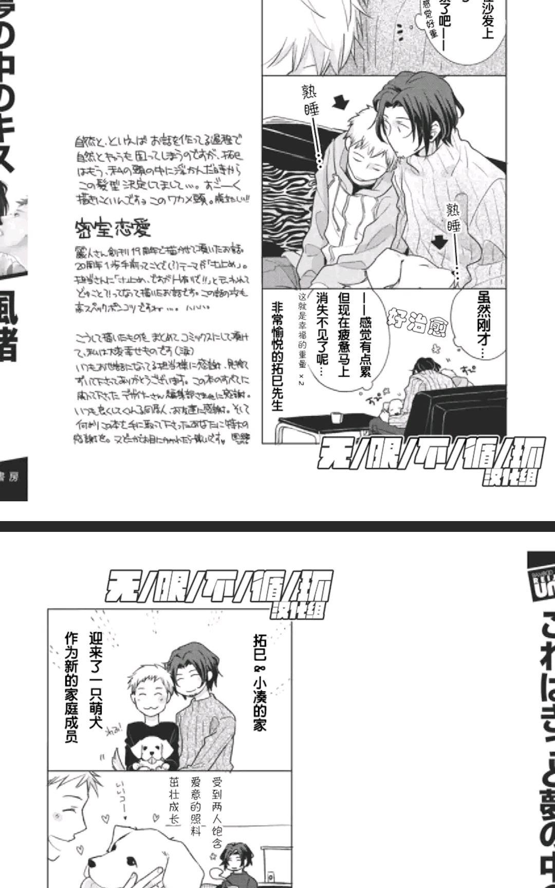 这一定是真实之吻4