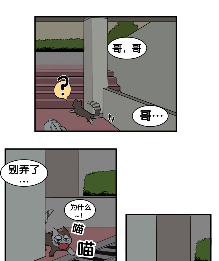 请问空巢来风是什么意思漫画,第9话1图