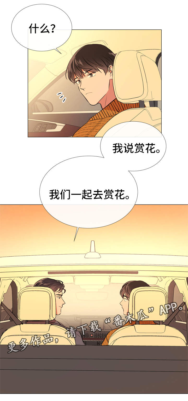 第51章：各自心思2