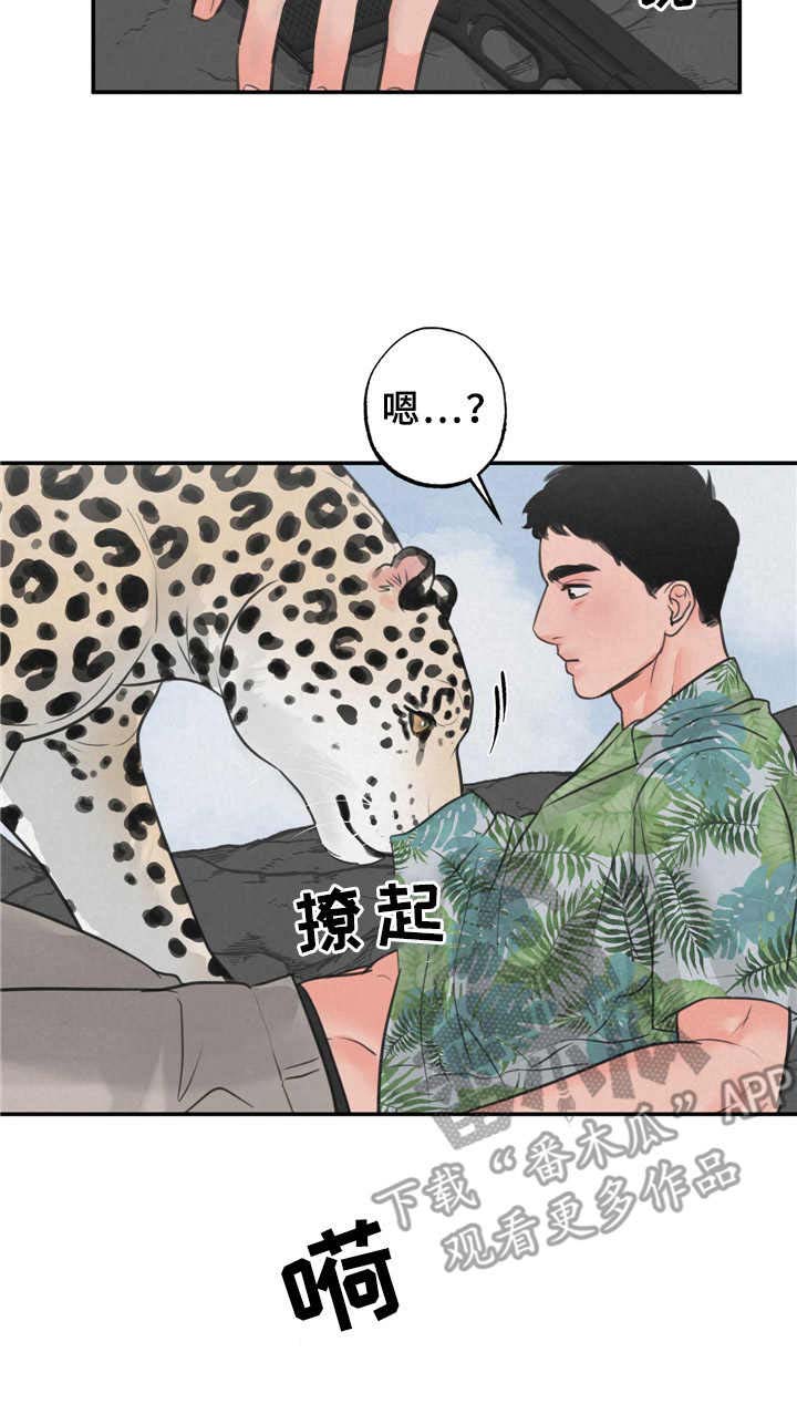 野性之皮图纸怎么弄漫画,第9章：磨蹭3图