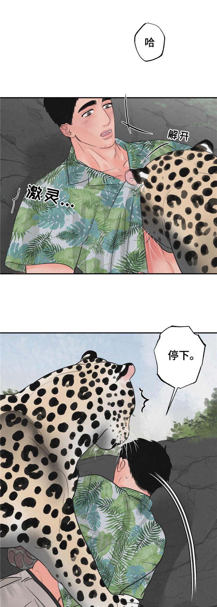 野性之皮图纸怎么弄漫画,第9章：磨蹭5图