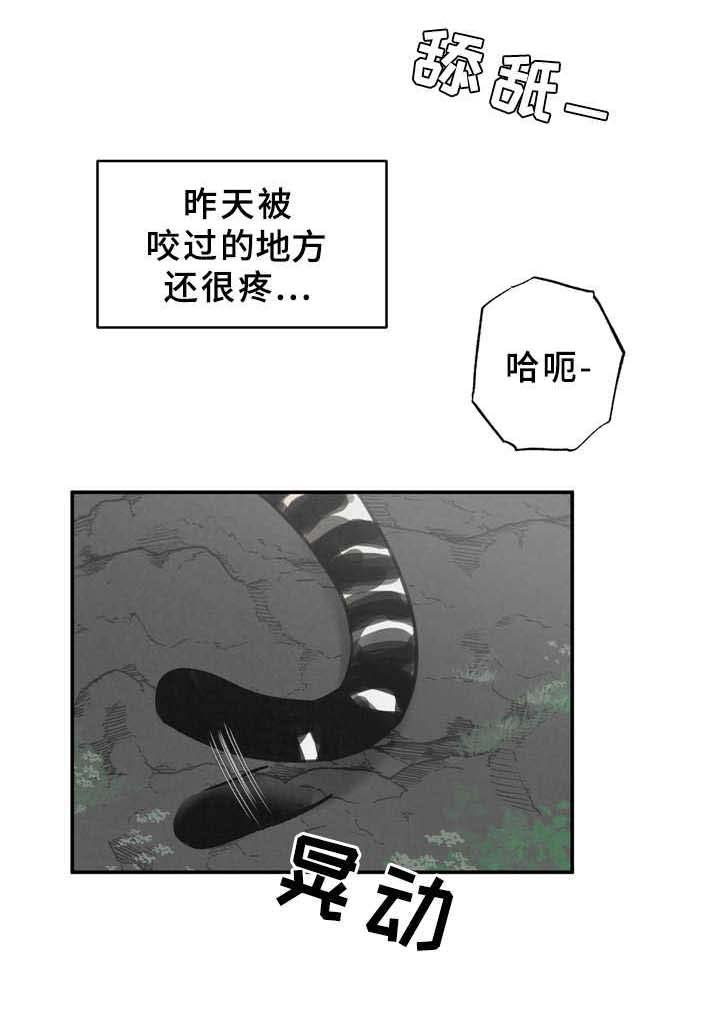 野性之皮图纸怎么弄漫画,第9章：磨蹭4图