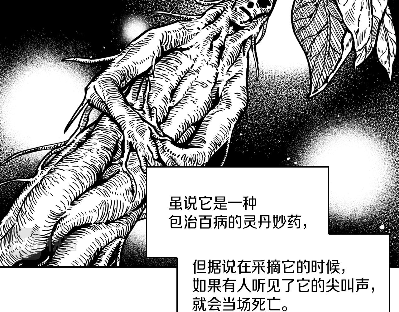 第38话 曼德拉草2