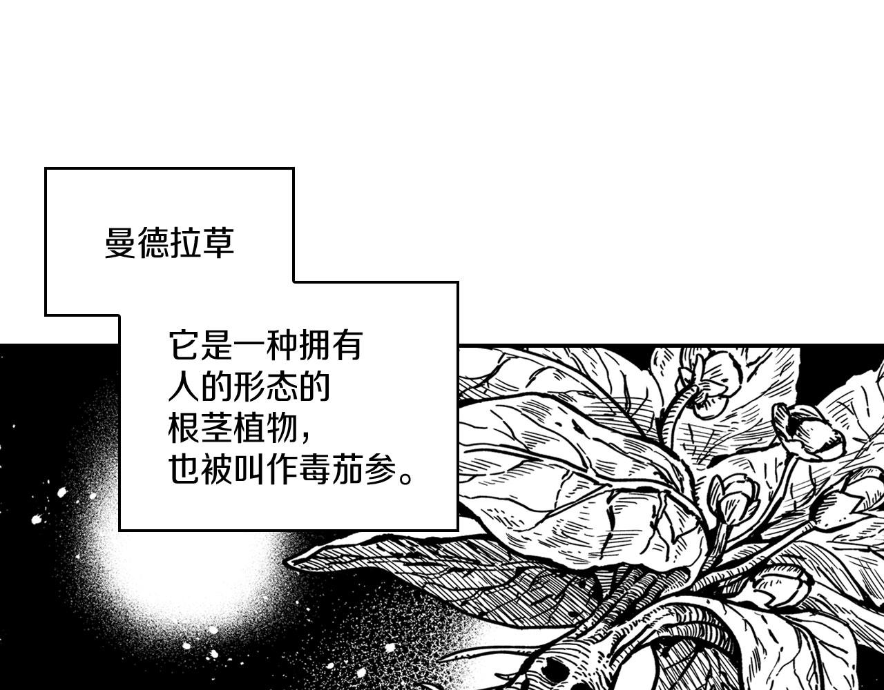 第38话 曼德拉草1