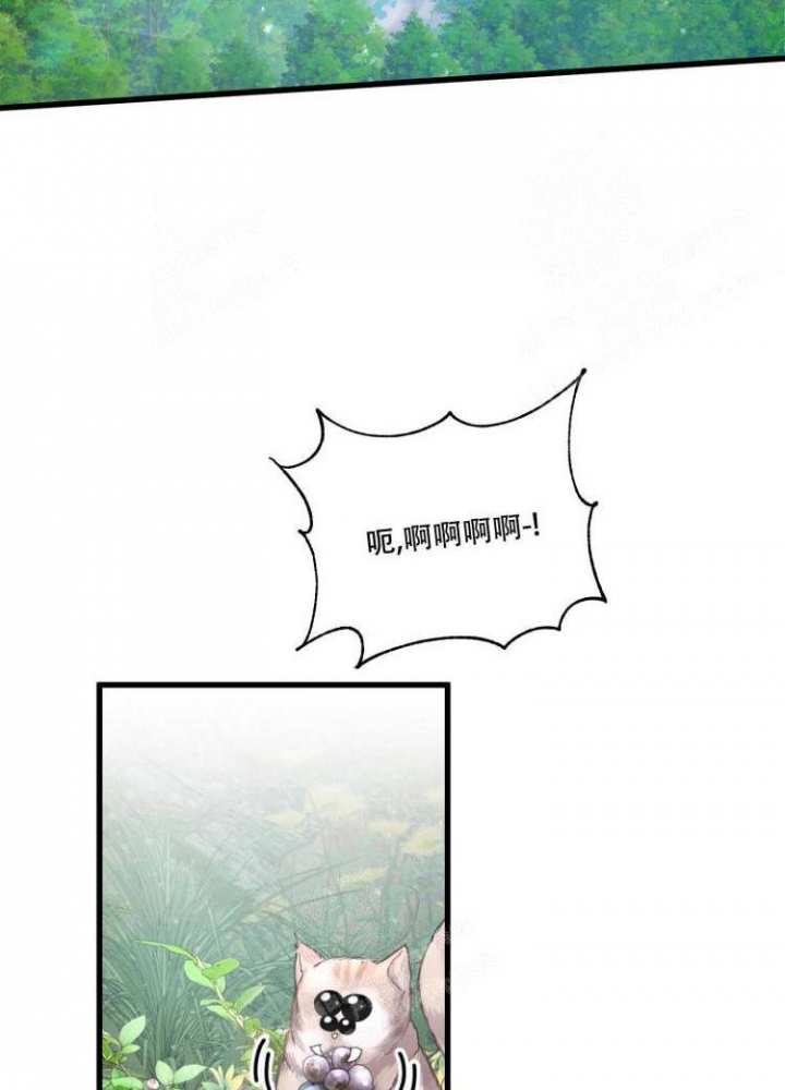不起眼向导的平凡日常第9话漫画,第43话2图