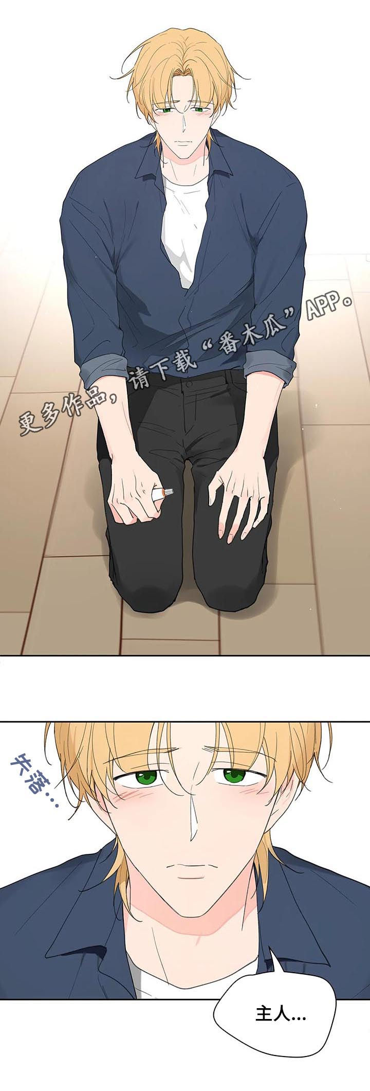 学院代表队漫画,第109章：平静1图