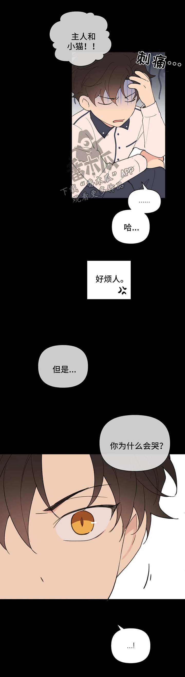 学院代码每年都是一样的吗漫画,第67章：喜欢漂亮的3图